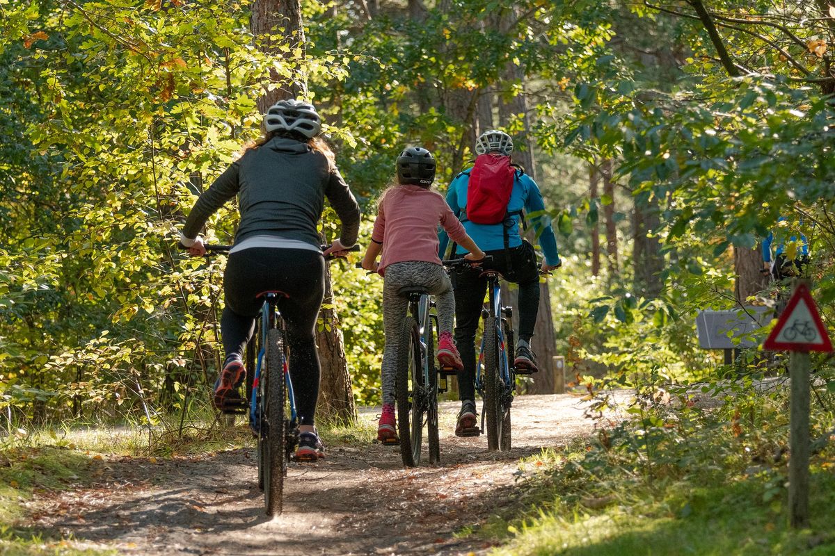 Sortie VTT