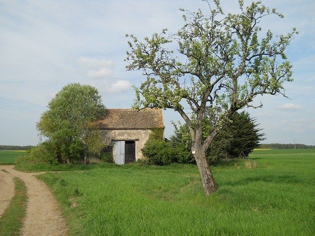 De Dourdan à la ferme des Sueurs