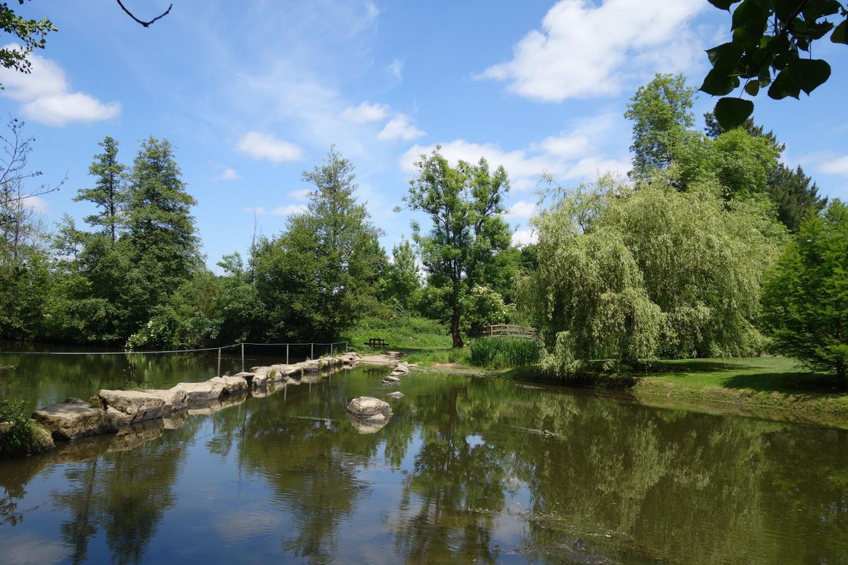 À travers les chemins blancs