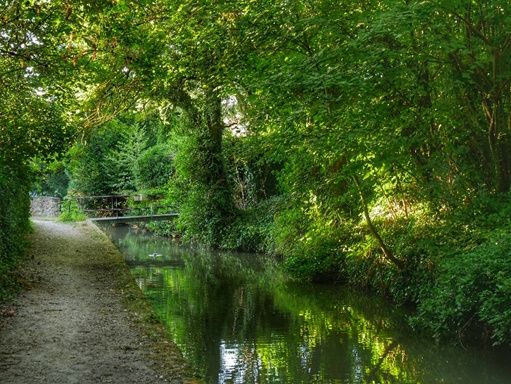 La forêt de Dourdan