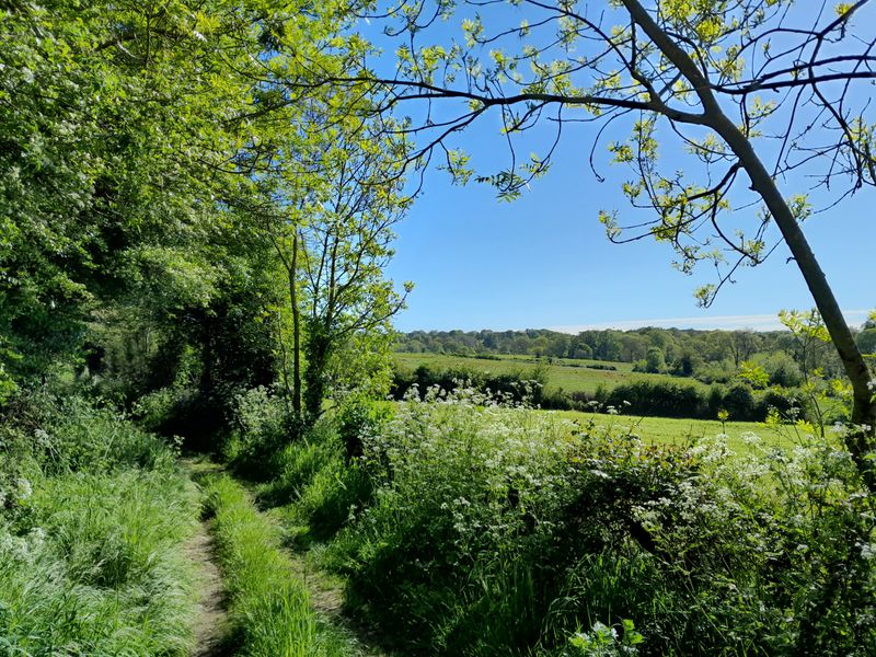 Trail du Chaffaud