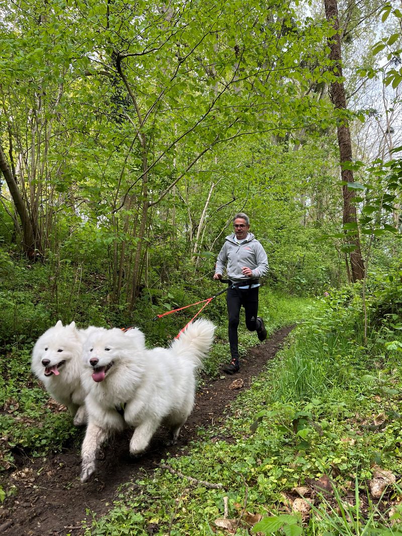 Parcours initiation Cani’trail Léry-Poses