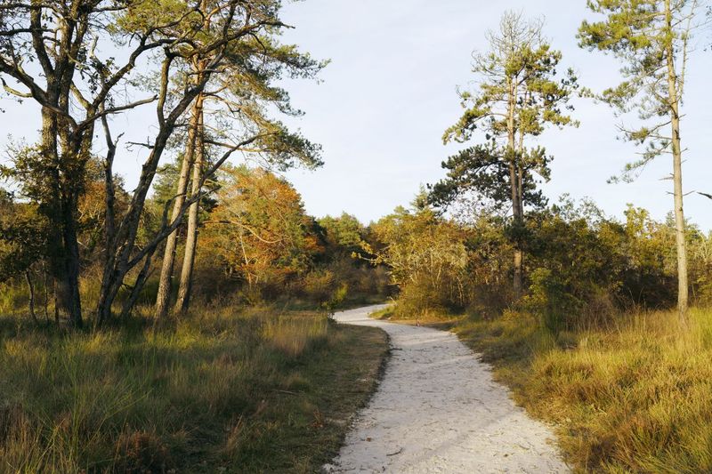 Sentier de la Faisanderie