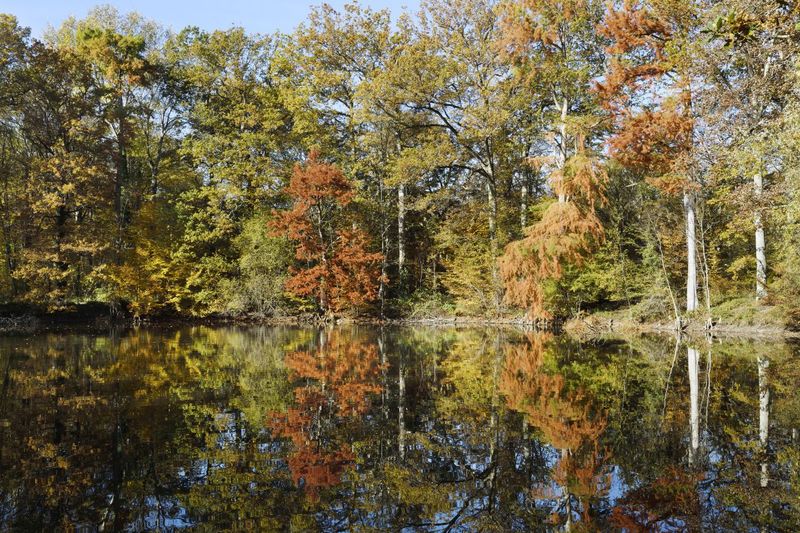 La mare aux Evées