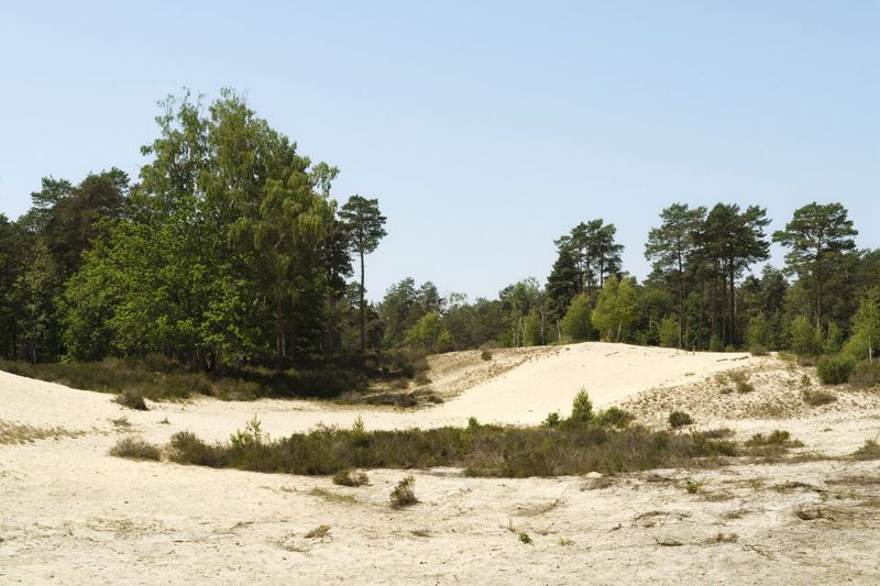 Sentier de la plaine de la Haute Borne