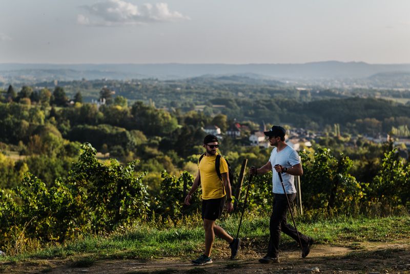 Vézère et vignes