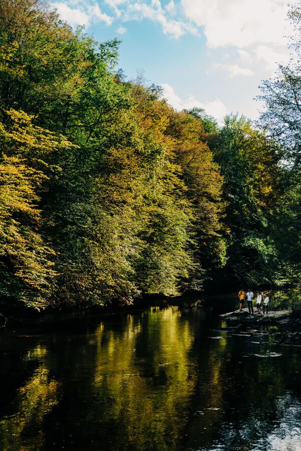 Les Gorges de la Vézère