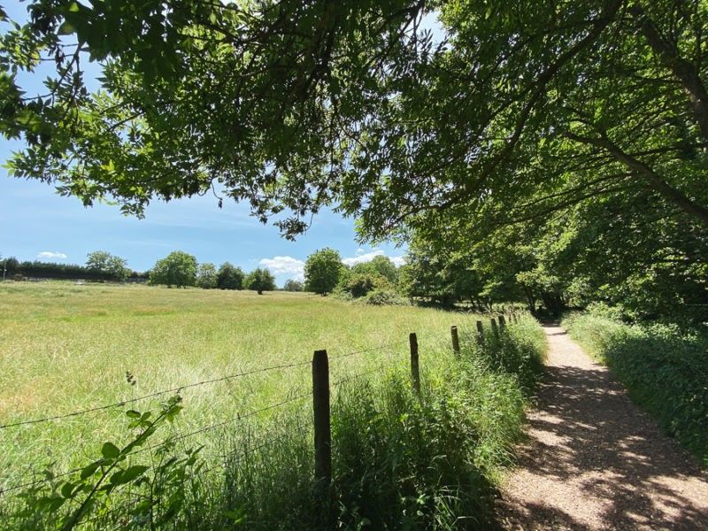 Boucle trail - Sainte Foy les Lyon