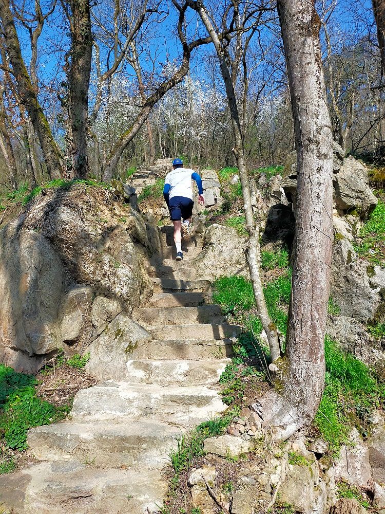 Trail escaliers - Sainte Foy les Lyon