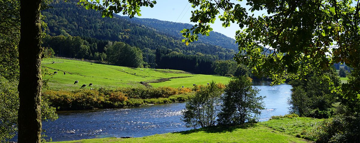 Vosges - Saint-Nabord